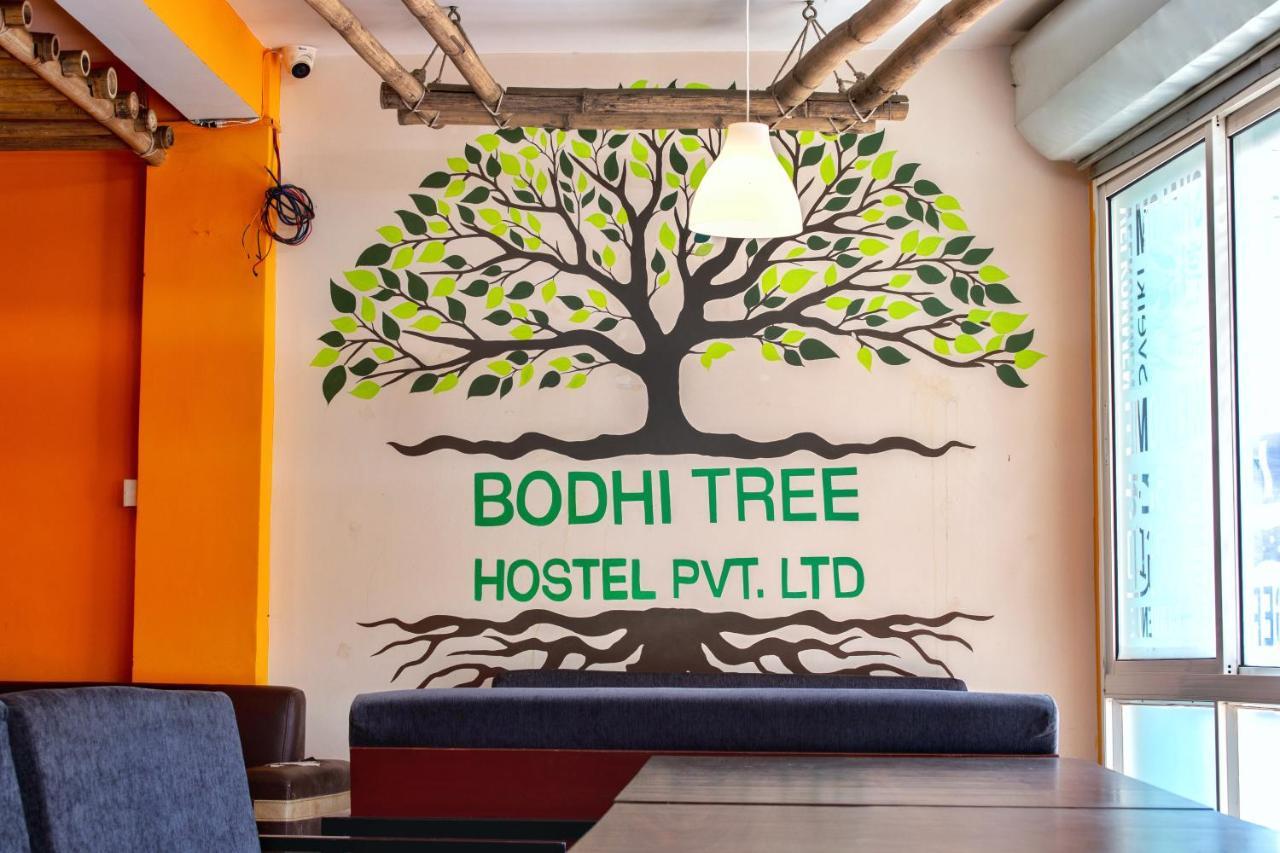 Bodhi Tree Hostel Kathmandu Exteriör bild